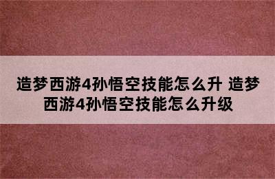 造梦西游4孙悟空技能怎么升 造梦西游4孙悟空技能怎么升级